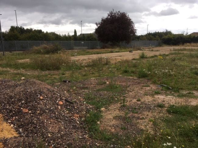 Photo of the current Orchard House site