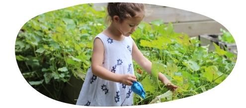 Little girl playing with plants