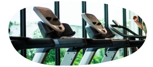 A row of treadmills