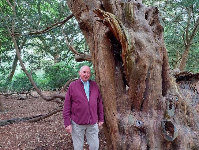 Cabinet Member for Climate Change and Environment, Peter Strachan standing next to an ancient yew tree at Langley Country Park.