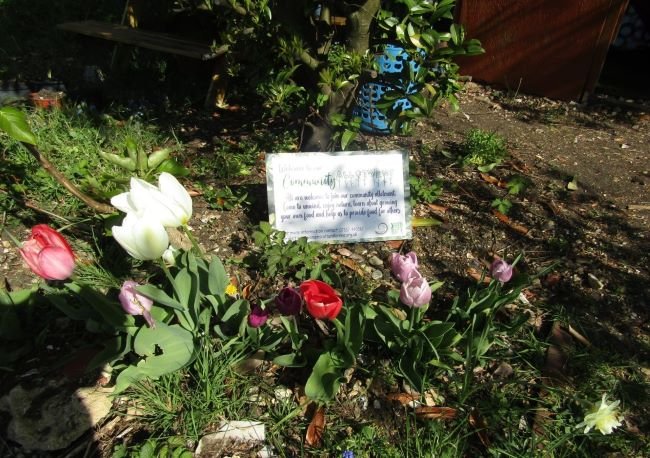 A sign saying 'Welcome to the Community Allotment' is surrounded by flowers